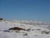dsc05011_small.jpg