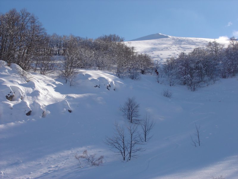 dsc05035.jpg