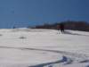 dsc05037_small.jpg