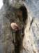 dsc05066_small.jpg