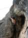 dsc05069_small.jpg