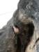 dsc05070_small.jpg
