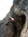 dsc05071_small.jpg