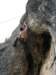 dsc05073_small.jpg