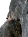 dsc05097_small.jpg