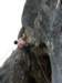 dsc05099_small.jpg