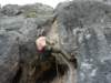 dsc05101_small.jpg