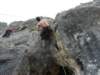 dsc05104_small.jpg