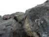 dsc05106_small.jpg