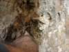 dsc05107_small.jpg