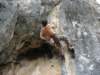 dsc05114_small.jpg