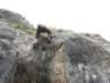 dsc05122_small.jpg