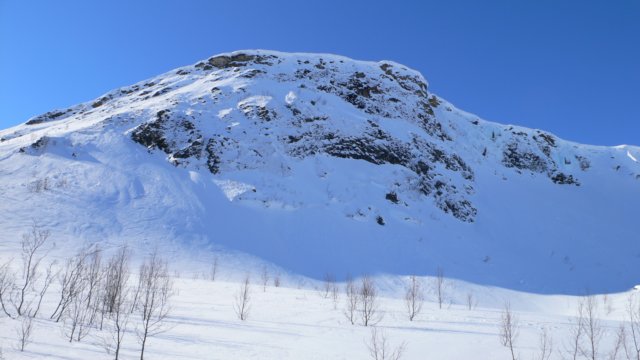 Photograph